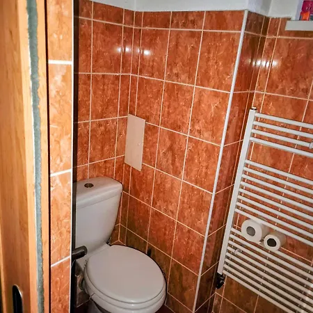 Apartment Starecek *